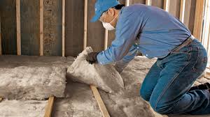 Best Weatherproofing Services  in Raymond, IL