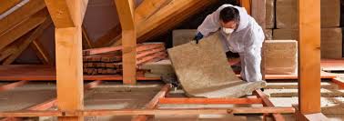 Best Basement Insulation  in Raymond, IL