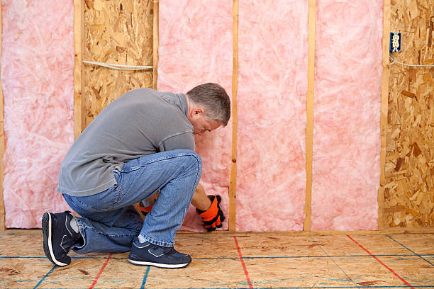 Best Attic Insulation Installation  in Raymond, IL