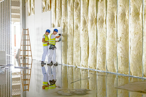 Types of Insulation We Offer in Raymond, IL